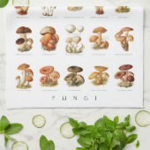  illustratieschema eetbare paddenstoelen theedoek (Gevouwen)