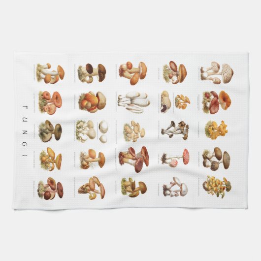  illustratieschema eetbare paddenstoelen theedoek (Horizontaal)