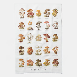 illustratieschema eetbare paddenstoelen theedoek
