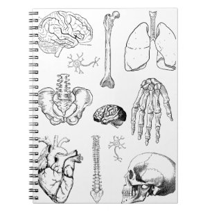 Illustratieset van menselijke anatomie in vintage notitieboek