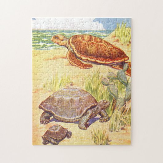 illustratiestrijdschildpadden uit het boek Kinder Legpuzzel (Verticaal)