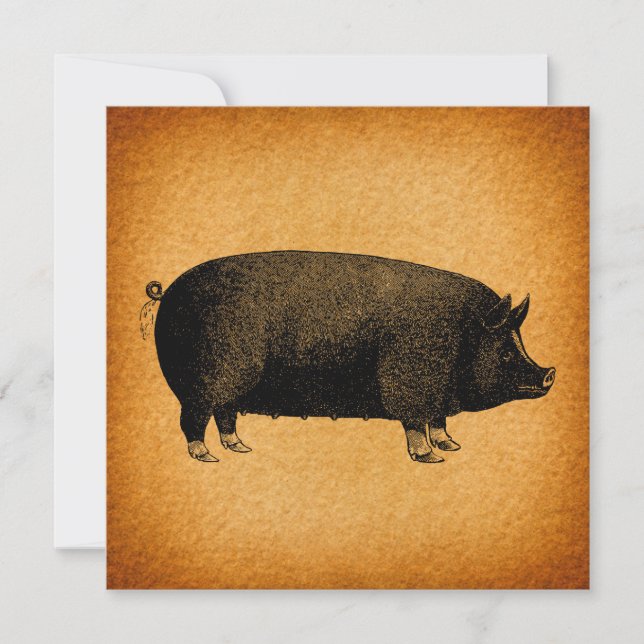 Illustratieve  pig Rustic Art (Voorkant)