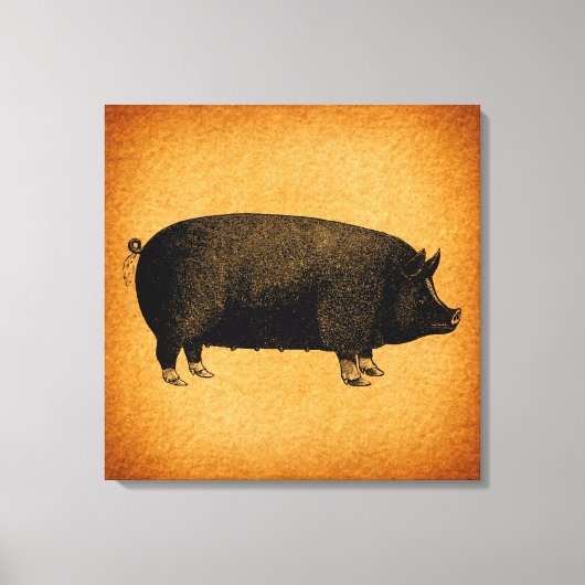 Illustratieve pig Rustic Art Canvas Afdruk (Voorkant)