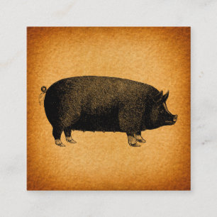 Illustratieve  pig Rustic Art Informatiekaartje