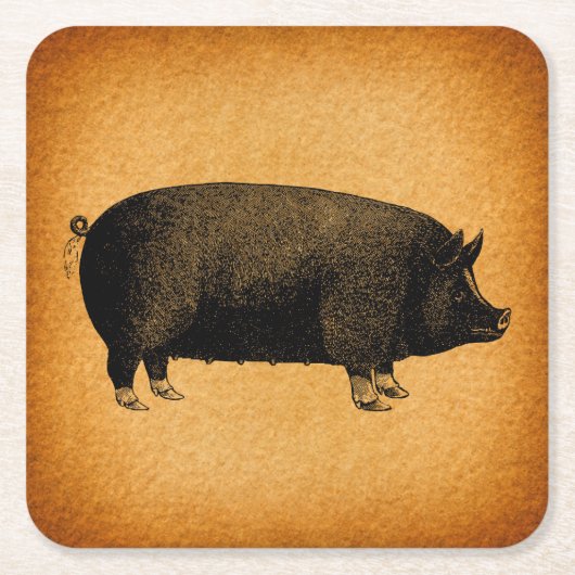 Illustratieve pig Rustic Art Kartonnen Onderzetters (Voorkant)