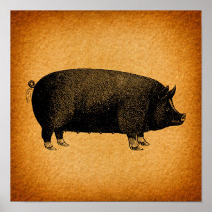Illustratieve  pig Rustic Art Poster