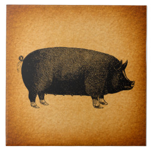 Illustratieve  pig Rustic Art Tegeltje