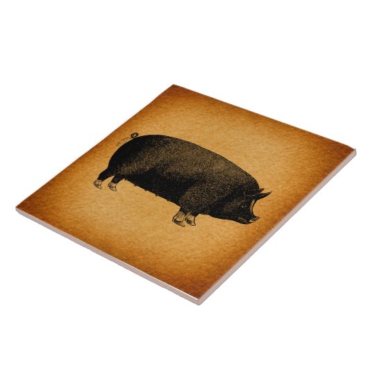 Illustratieve  pig Rustic Art Tegeltje (Zijkant)