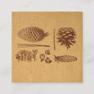 Illustratieve pijnbomen  Pinecone Art Informatiekaartje