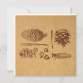 Illustratieve pijnbomen  Pinecone Art Notitiekaartje (Achterkant)