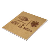 Illustratieve pijnbomen  Pinecone Art Tegeltje (Zijkant)
