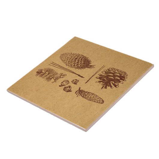 Illustratieve pijnbomen Pinecone Art Tegeltje (Zijkant)