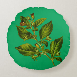 illustratievloer van de Botany Rond Kussen