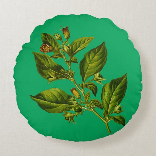 illustratievloer van de Botany Rond Kussen (Voorkant)