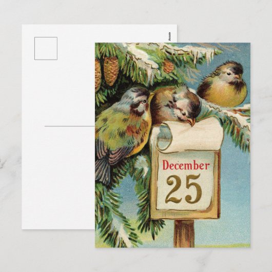  illustratievogels schattige kerstkaart feestdagenkaart (Voorkant / Achterkant)