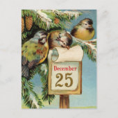  illustratievogels schattige kerstkaart feestdagenkaart (Voorkant)