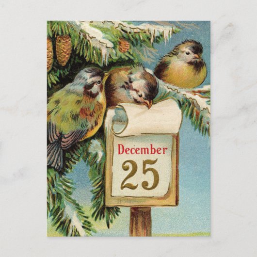  illustratievogels schattige kerstkaart feestdagenkaart (Voorkant)