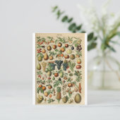 Illustratiewoordenboeken Briefkaart (Staand voorkant)