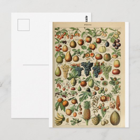 Illustratiewoordenboeken Briefkaart (Voorkant / Achterkant)