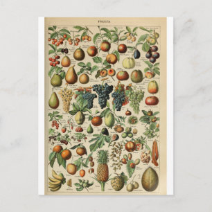 Illustratiewoordenboeken Briefkaart