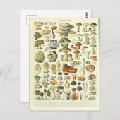 Illustratiewoordenboeken Briefkaart (Voorkant / Achterkant)