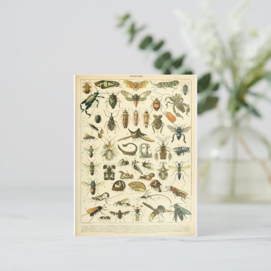 Illustratiewoordenboeken Briefkaart (Staand voorkant)