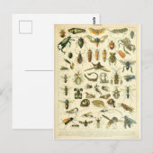 Illustratiewoordenboeken Briefkaart (Voorkant / Achterkant)