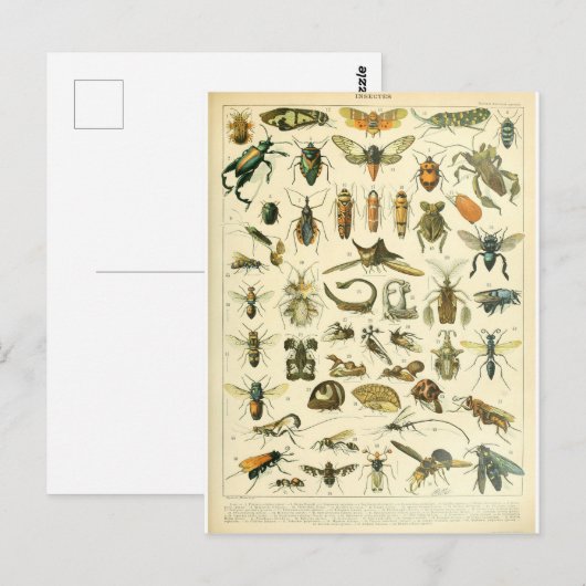 Illustratiewoordenboeken Briefkaart (Voorkant / Achterkant)