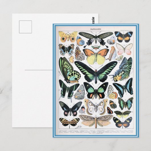 Illustratiewoordenboeken Briefkaart (Voorkant / Achterkant)