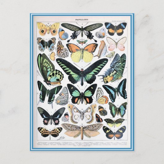 Illustratiewoordenboeken Briefkaart (Voorkant)