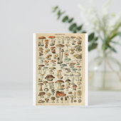 Illustratiewoordenboeken Briefkaart (Staand voorkant)