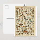 Illustratiewoordenboeken Briefkaart (Voorkant / Achterkant)