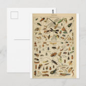 Illustratiewoordenboeken Briefkaart (Voorkant / Achterkant)