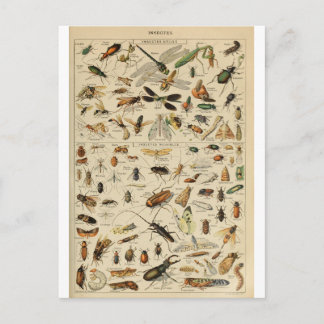 Illustratiewoordenboeken Briefkaart