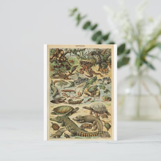 Illustratiewoordenboeken reptielen briefkaart (Staand voorkant)