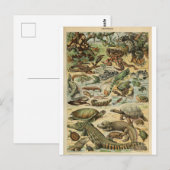Illustratiewoordenboeken reptielen briefkaart (Voorkant / Achterkant)