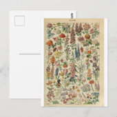 Illustratiewoordvoerders Briefkaart (Voorkant / Achterkant)