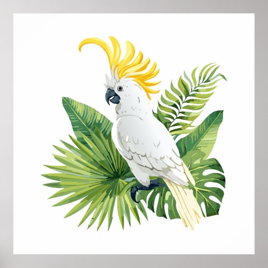 Illustration of parrot cockatoo poster (Voorkant)