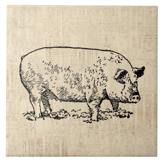 Illustreerde afbeelding met Script-achtergrond Tegeltje (Voorkant)