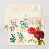 Illustreerde bloeiende planten briefkaart (Voorkant / Achterkant)