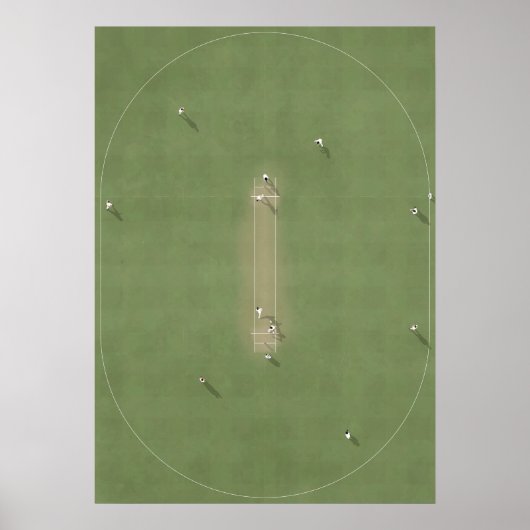 Illustreerde cricketpitch van boven poster (Voorkant)