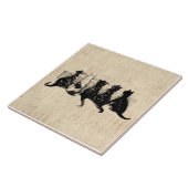 Illustreerde Kittens met Tan Script-achtergrond Tegeltje (Zijkant)