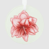 Illustreerde roze en witte amaryllis ornament (achterkant)