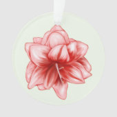 Illustreerde roze en witte amaryllis ornament (voorkant)