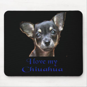 Ilovemychiwawatee Muismat