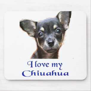 Ilovemychiwawatee Muismat
