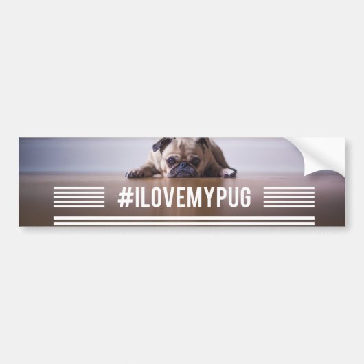 #ILoveMyPug hashtag bumper sticker (Voorkant)