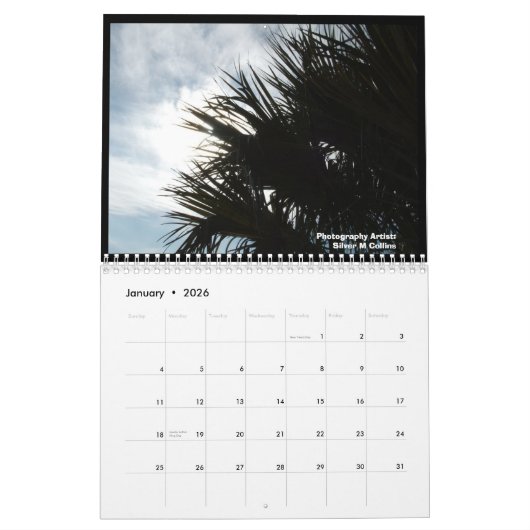 IM000977, Edisto Island, South Carolina Landscapes Kalender (Jan 2026)