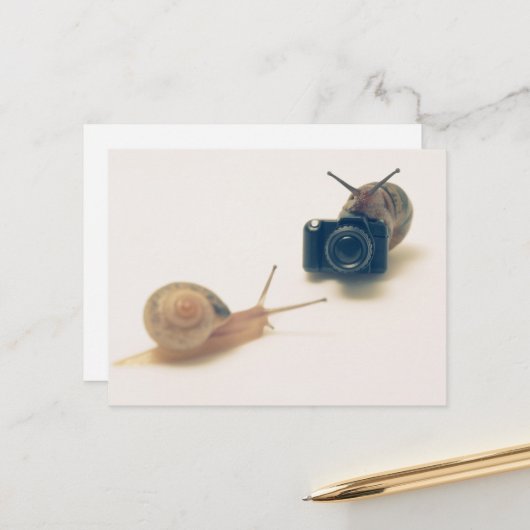 I'm a photographer. briefkaart (Voorkant / Achterkant in situ)