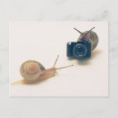 I'm a photographer. briefkaart (Voorkant)